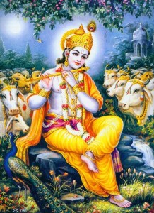मिथिलामा श्रीकृष्ण जन्माष्टमीको उल्लास   